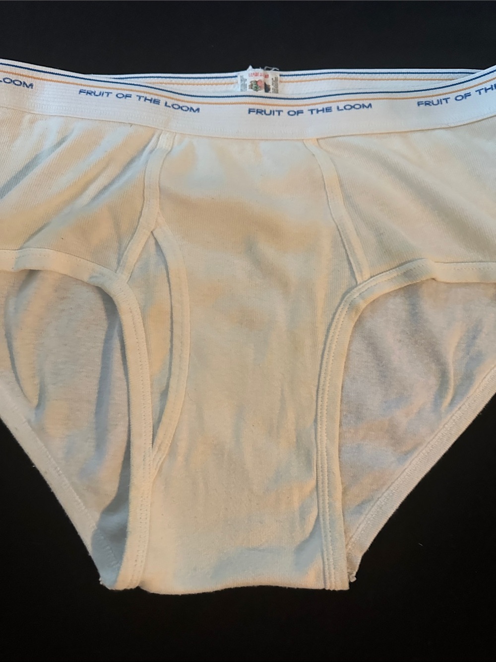 Fruit of the Loom Men's White Briefs with Blue Logo Trim